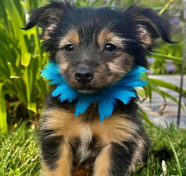 Photo of Alvin