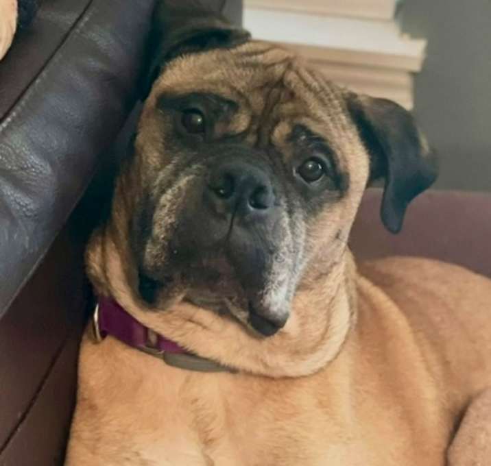 Photo of Katie