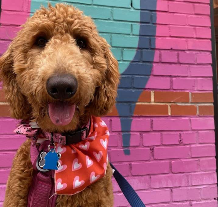 Photo of Marleigh