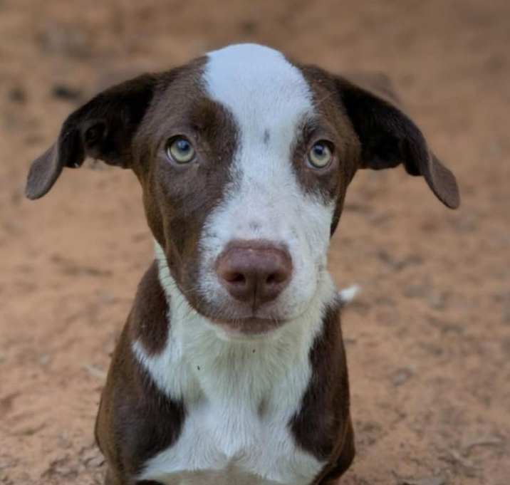 Photo of Tashi