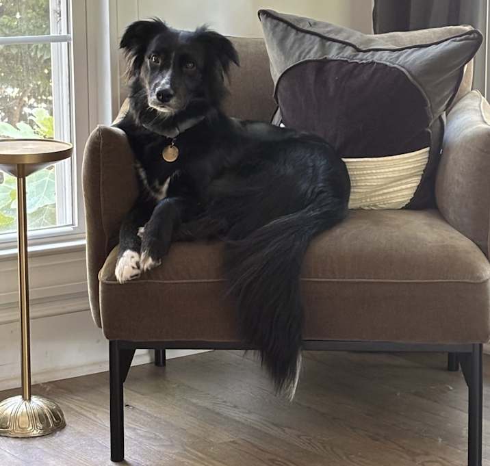 Photo of Winnie