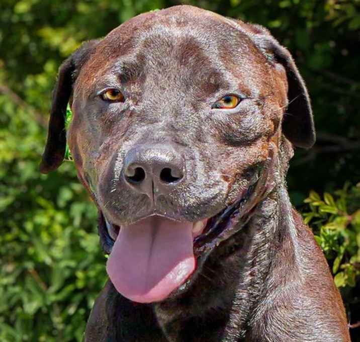 Photo of Peaceful Ms Pandora ~ Pleasant Personality !
