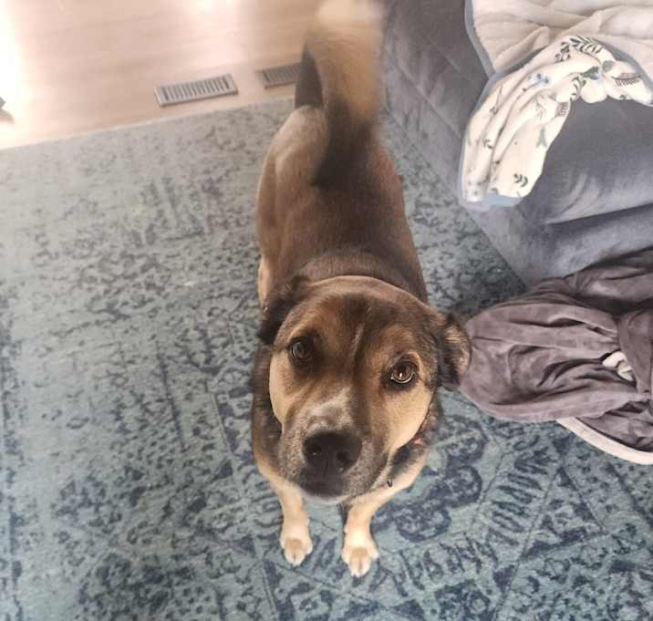 Photo of Charlie