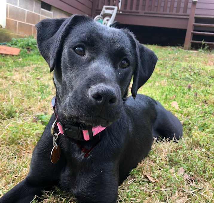 Photo of Lucy