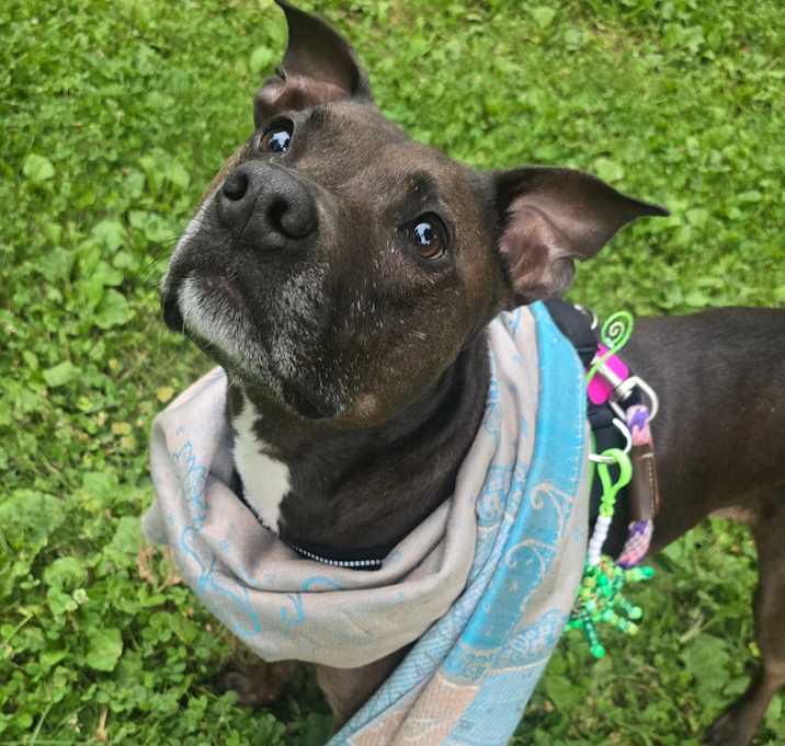 Photo of Phoebe