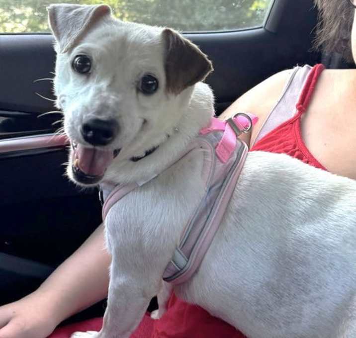 Photo of MAGGIE