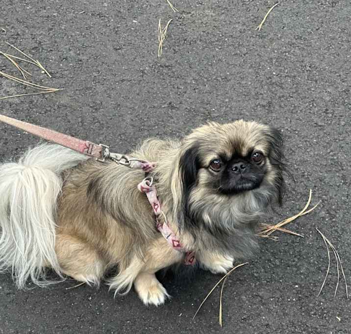 Photo of Marlowe