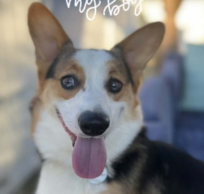 Photo of Jameson