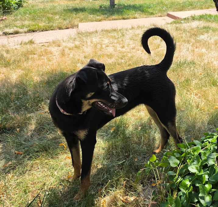 Photo of Daisy
