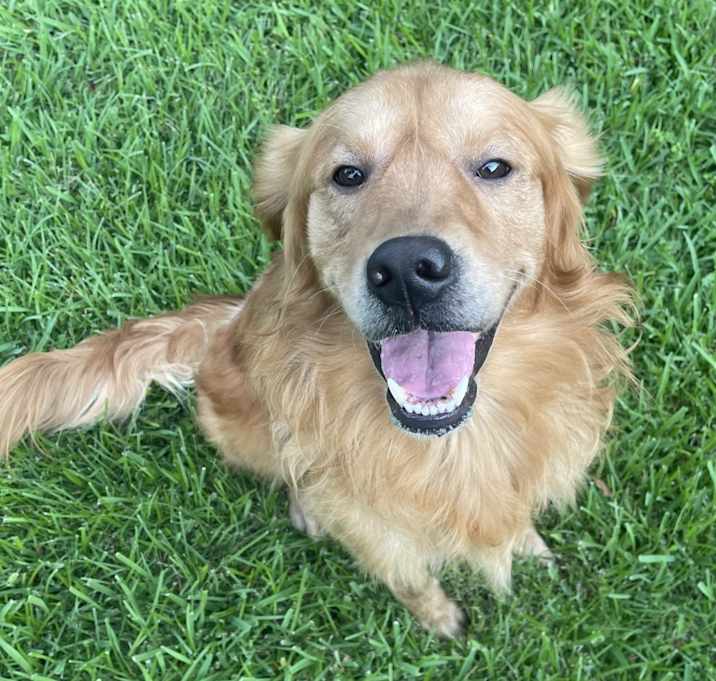 Photo of Ace