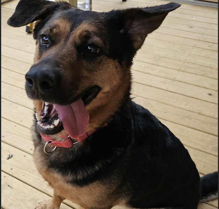 Photo of Farley