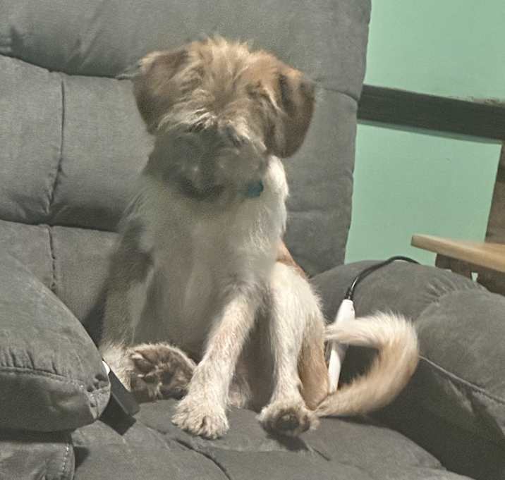Photo of Ralf