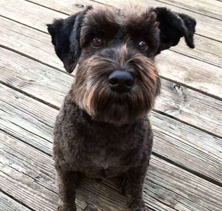 Photo of Zeke