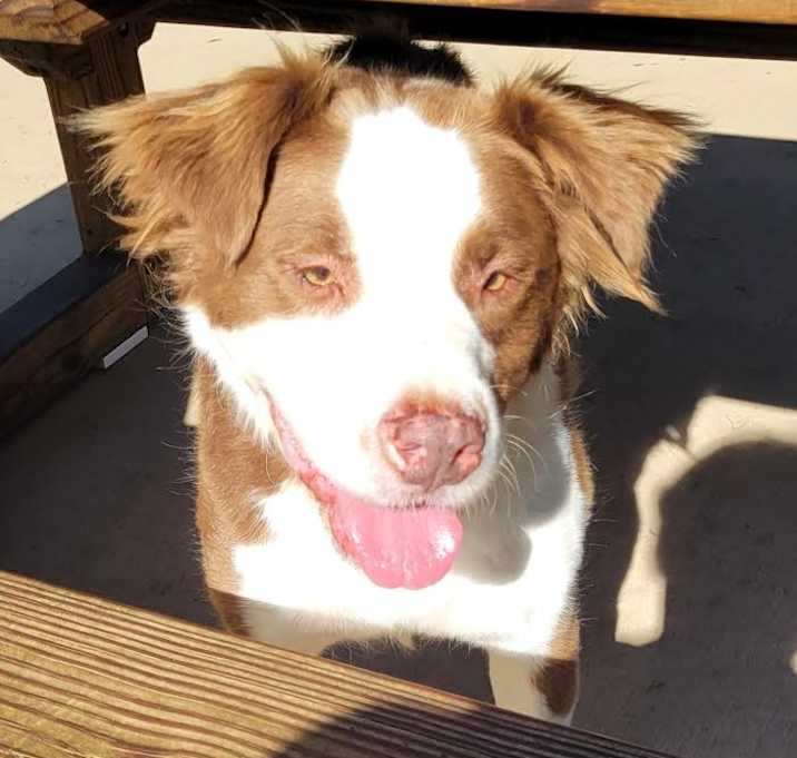 Photo of Jax