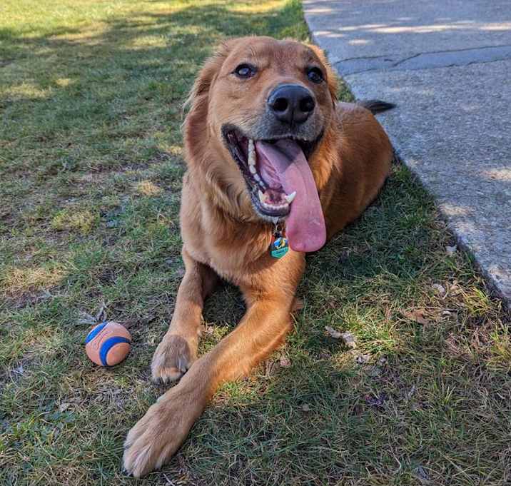 Photo of Ranger
