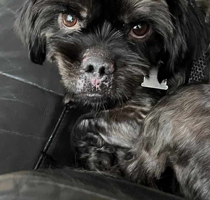 Photo of Linny