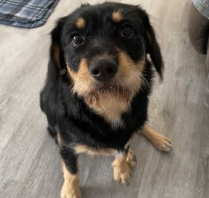 Photo of Sam