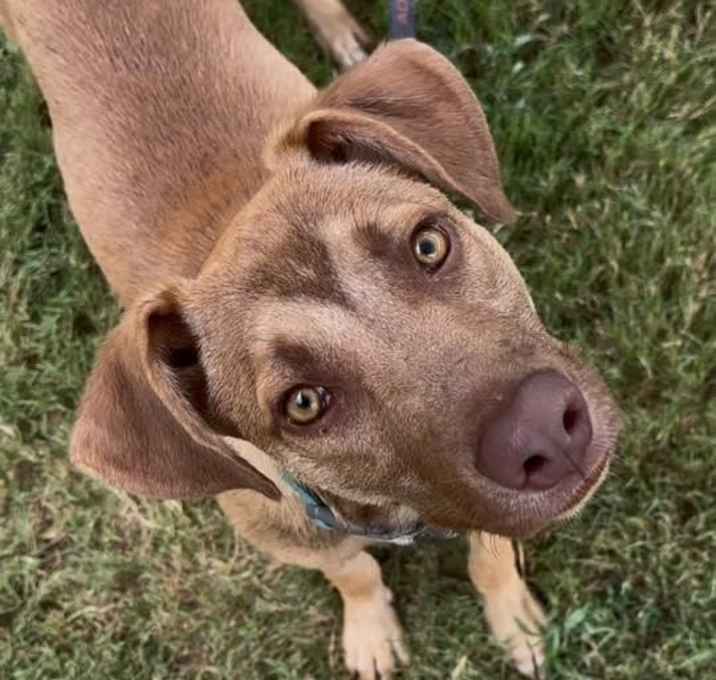 Photo of Taz