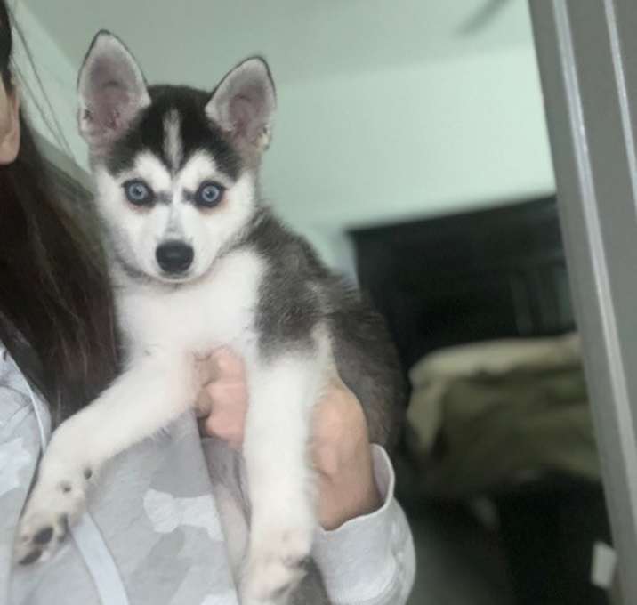 Photo of Kai
