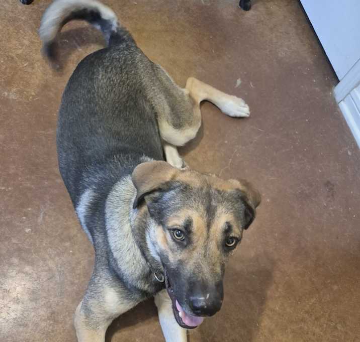 Photo of Junebug