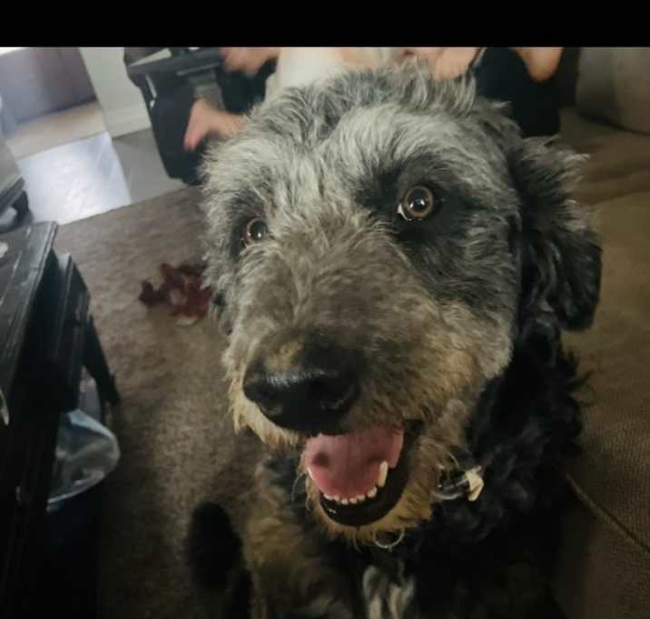 Photo of Muddy