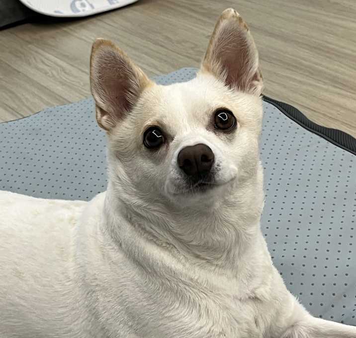 Photo of Binnie