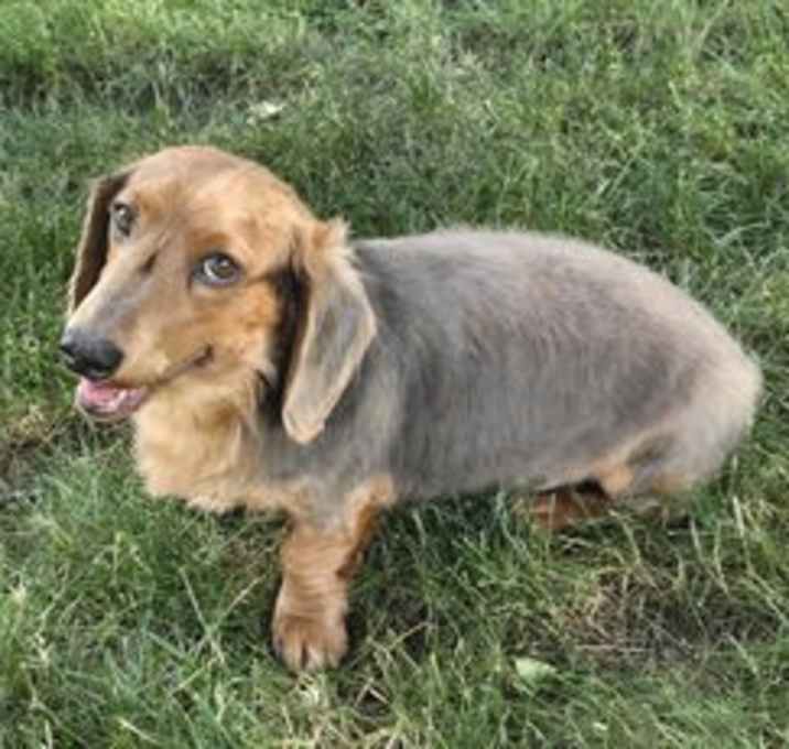 Photo of Howie