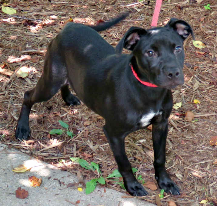 Photo of Tinker