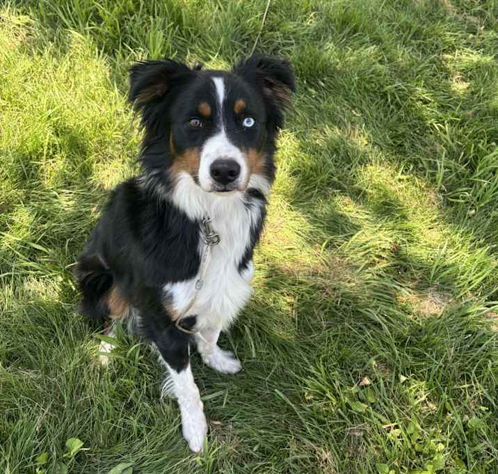 Photo of Mixon