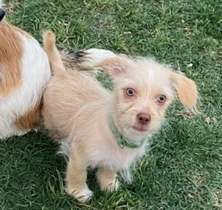 Photo of GUS