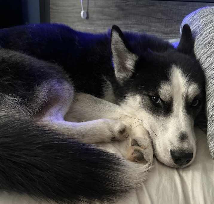 Photo of Sif