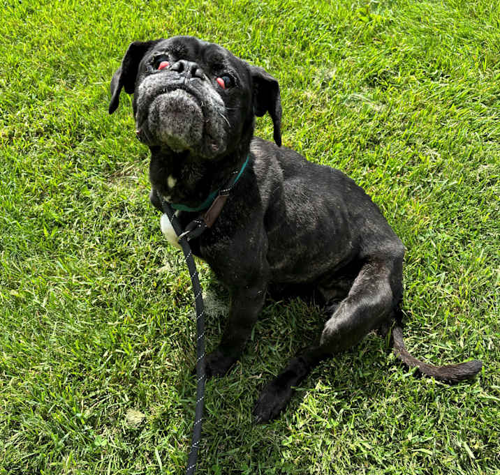 Photo of Mama