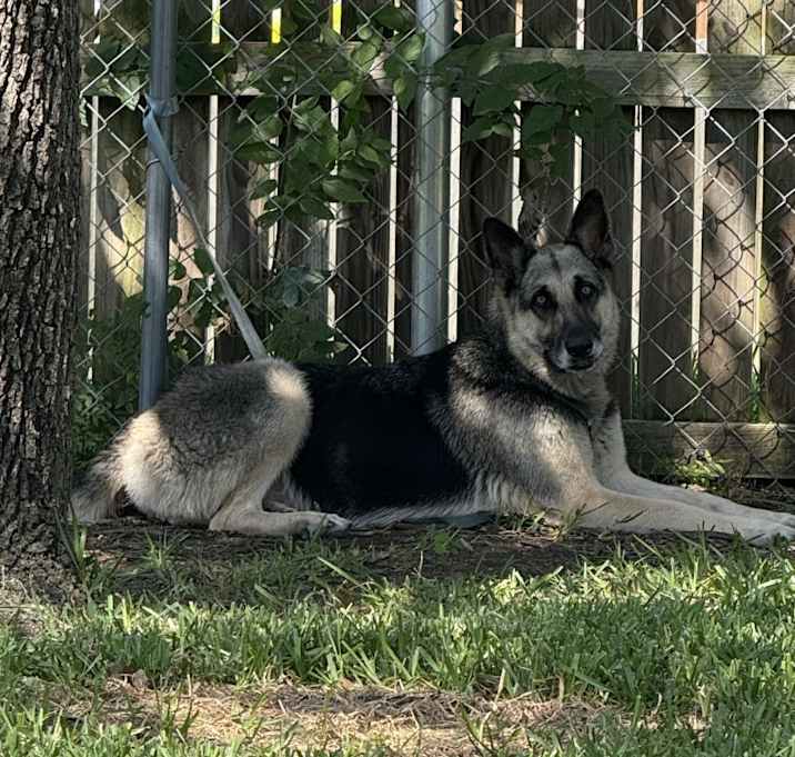 Photo of Grace
