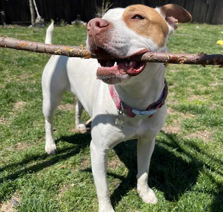 Photo of Mia