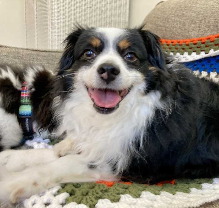 Photo of Moxie