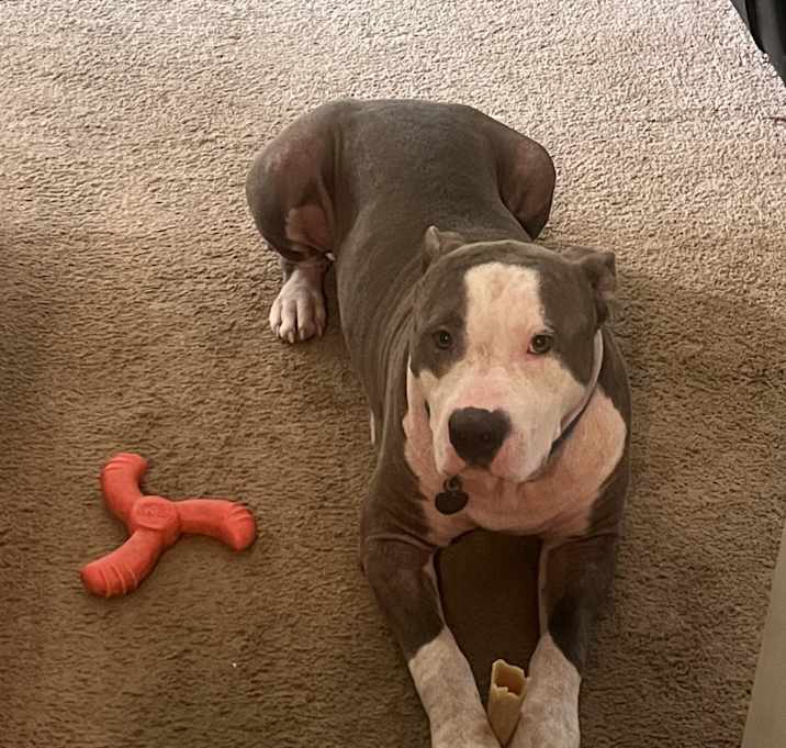 Photo of Gus