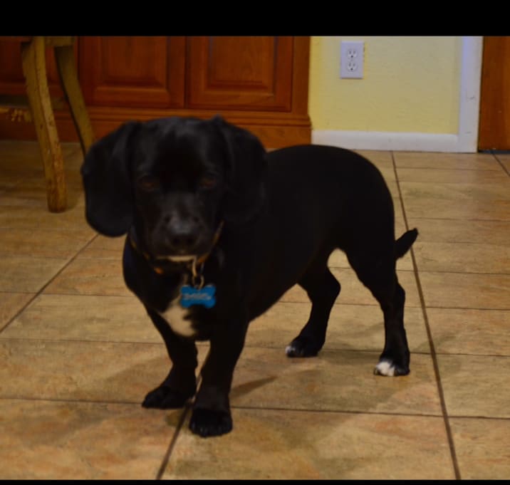 Photo of Bagel