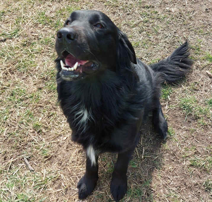 Photo of Bama