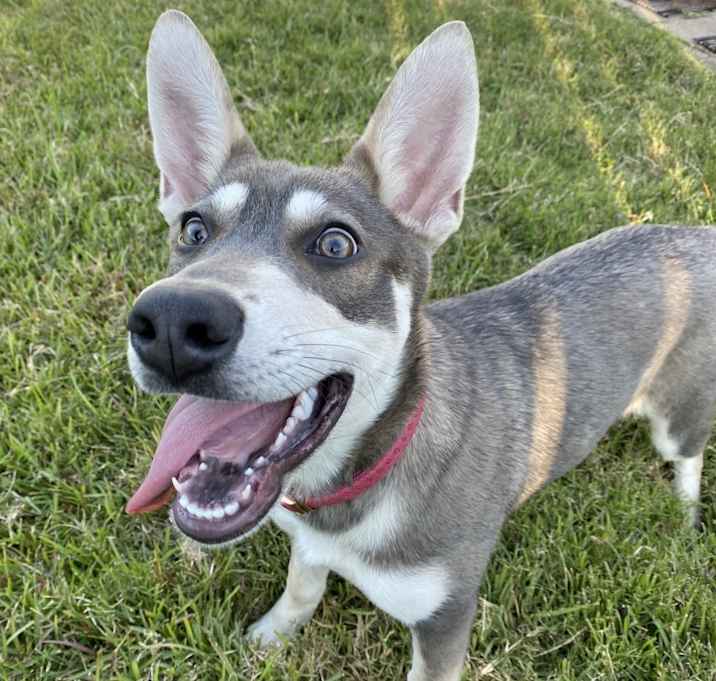 Photo of Milli