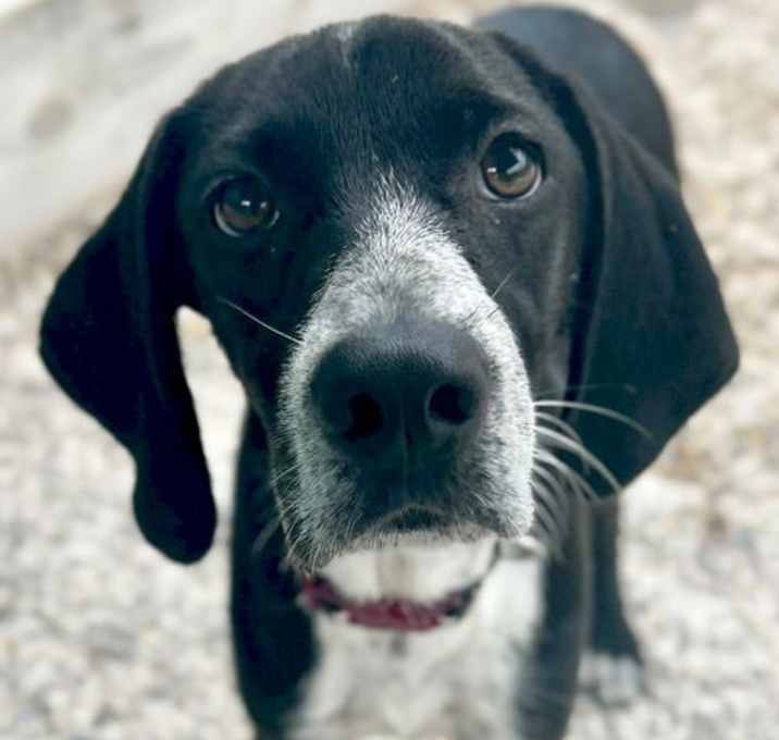 Photo of Cinder