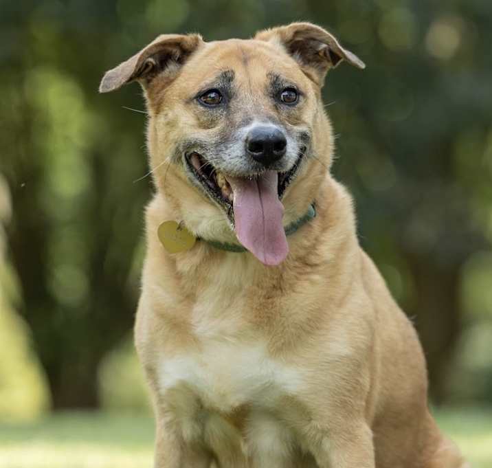 Photo of Chloe