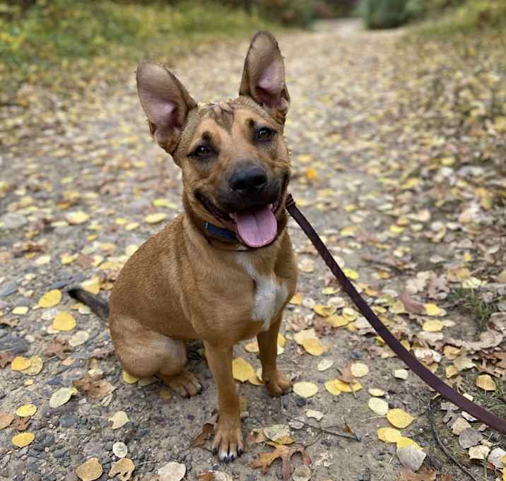 Photo of Luna