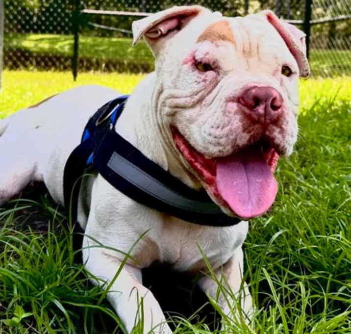 Photo of Gunther