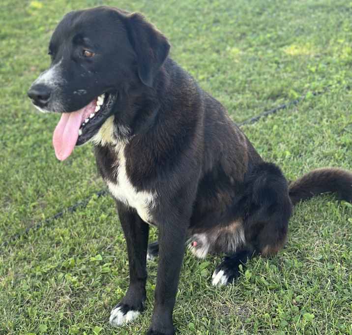 Photo of Max