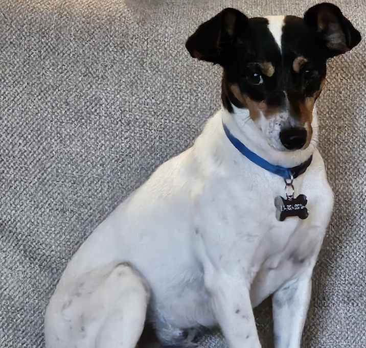 Photo of Bohdi (Bobo)