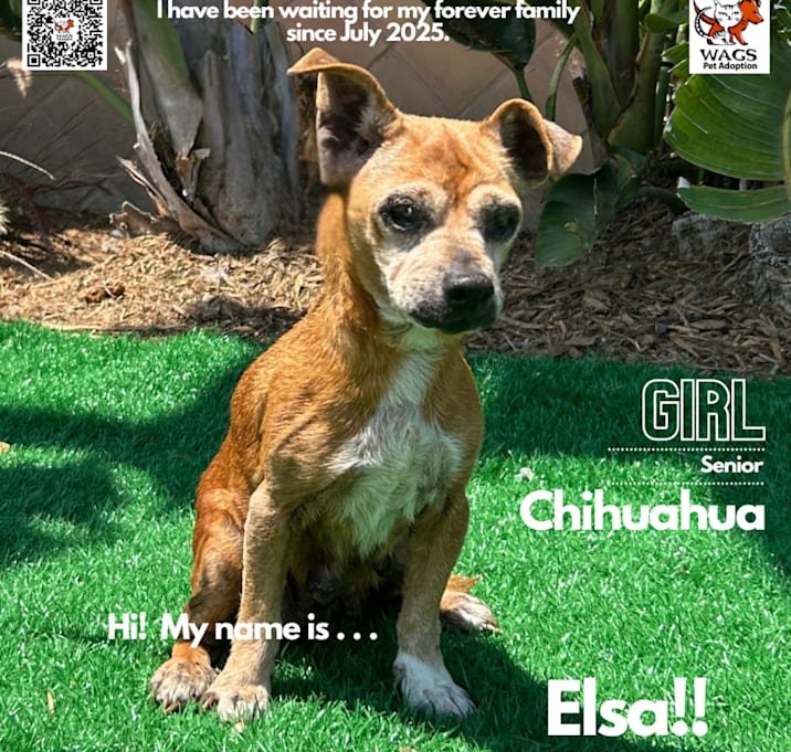 Photo of Elsa