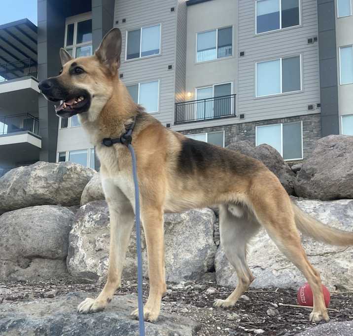 Photo of Jesse