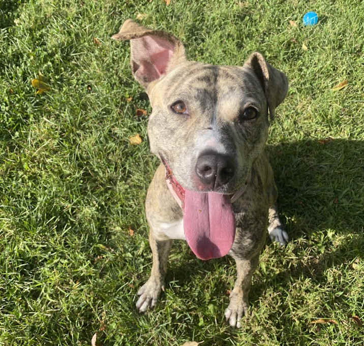 Photo of Ruby