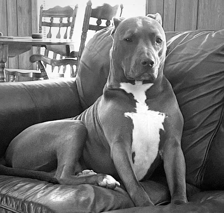 Photo of Mason