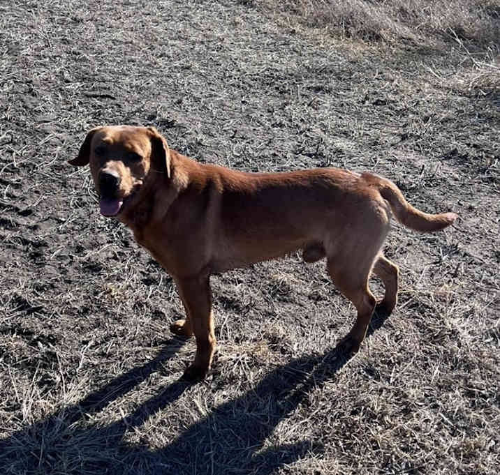 Photo of Tank